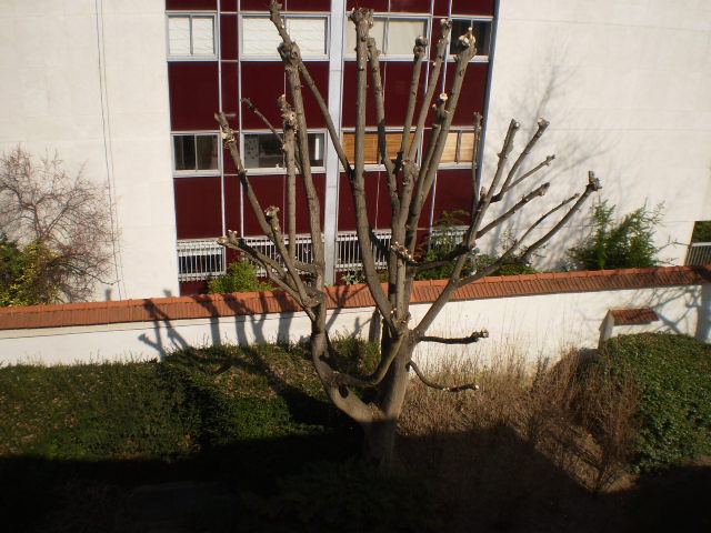 P3200069